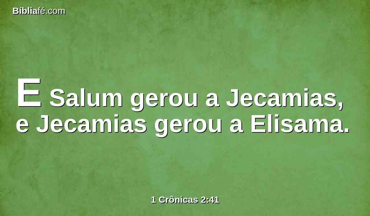 E Salum gerou a Jecamias, e Jecamias gerou a Elisama.