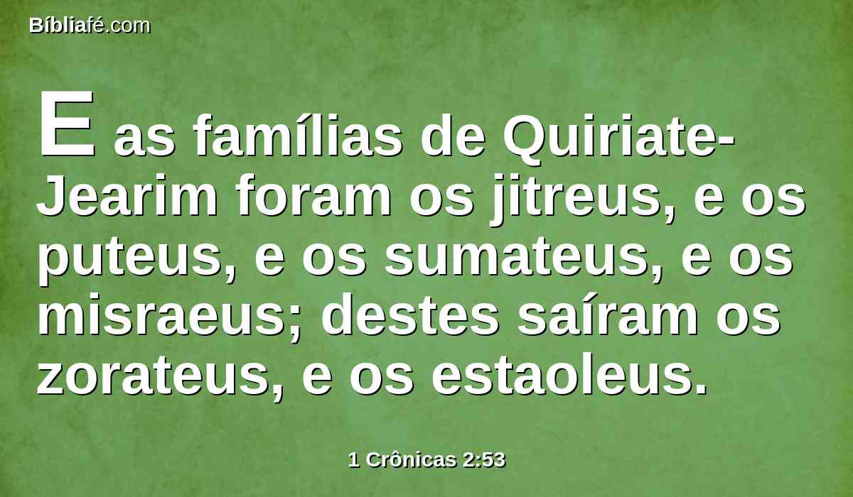 E as famílias de Quiriate-Jearim foram os jitreus, e os puteus, e os sumateus, e os misraeus; destes saíram os zorateus, e os estaoleus.
