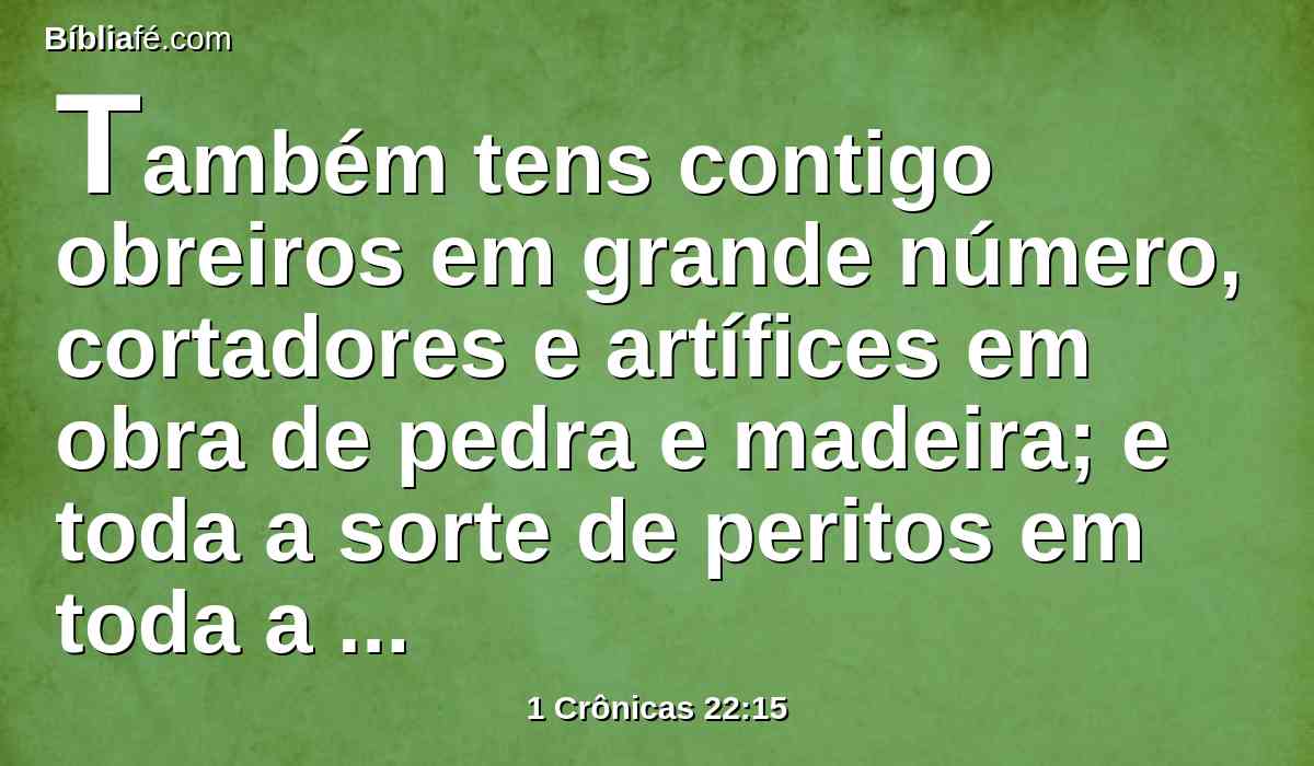 Também tens contigo obreiros em grande número, cortadores e artífices em obra de pedra e madeira; e toda a sorte de peritos em toda a espécie de obra.