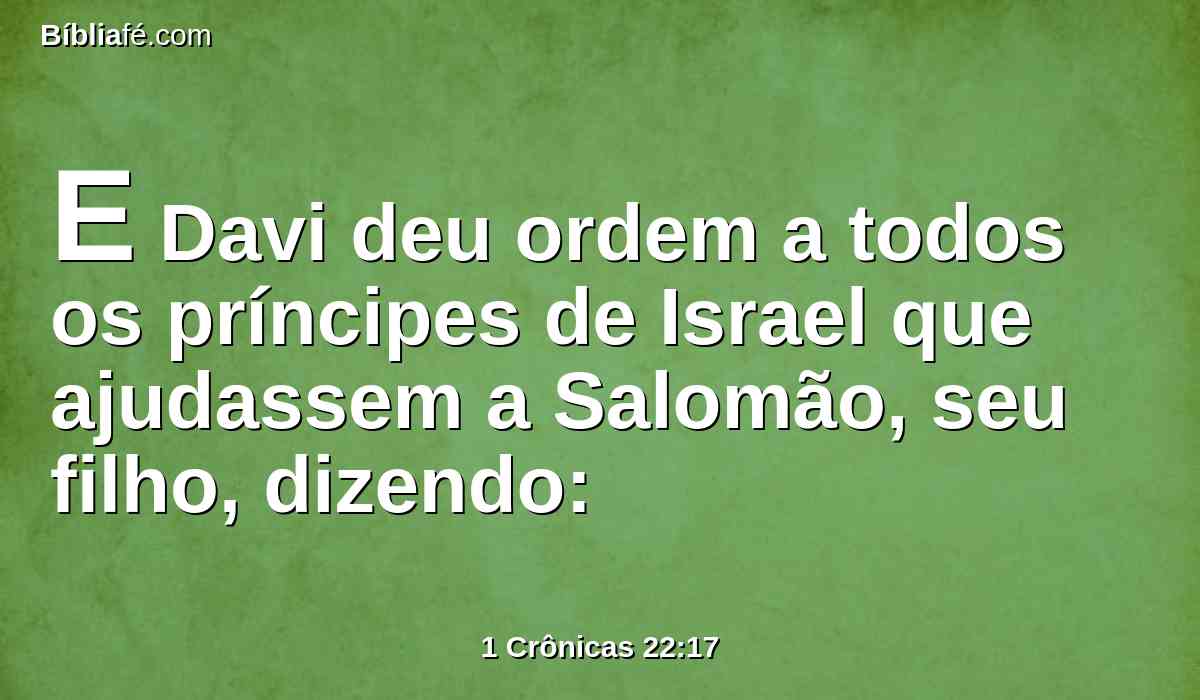 E Davi deu ordem a todos os príncipes de Israel que ajudassem a Salomão, seu filho, dizendo: