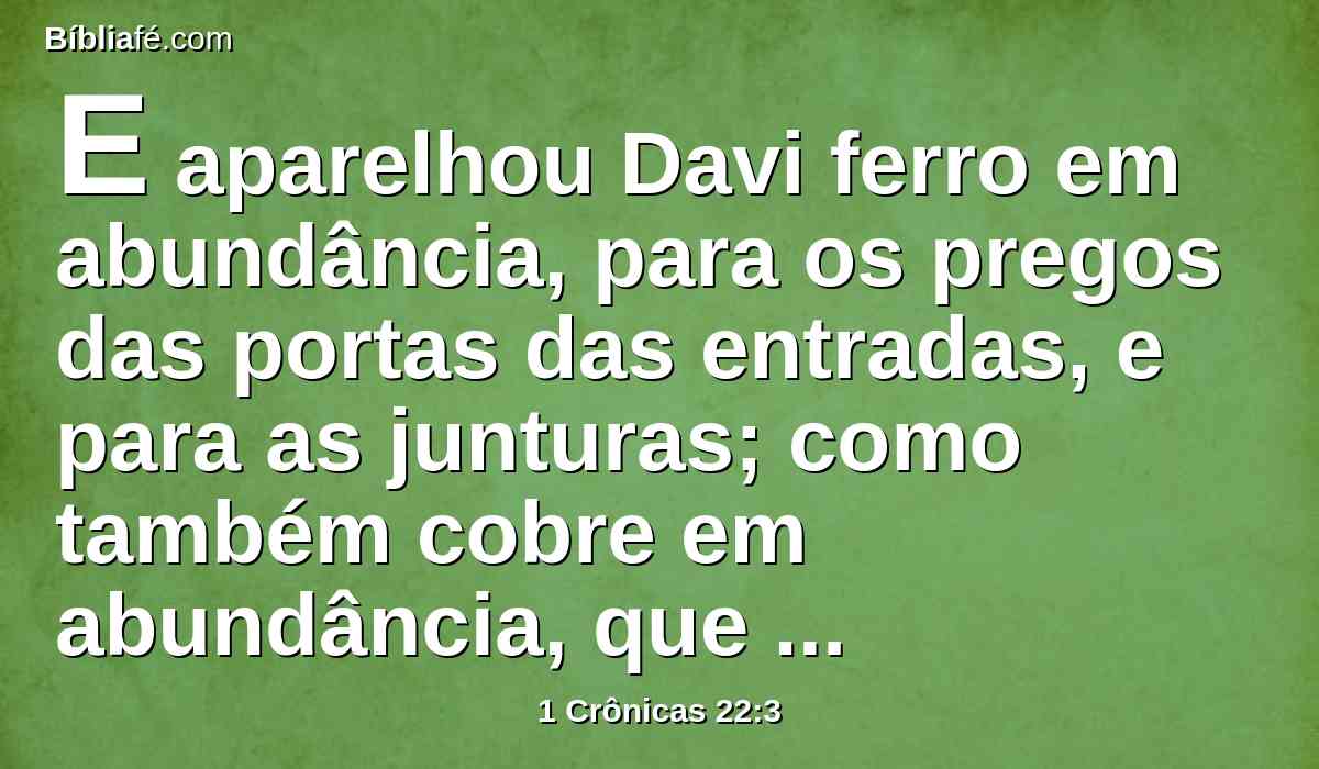 E aparelhou Davi ferro em abundância, para os pregos das portas das entradas, e para as junturas; como também cobre em abundância, que não foi pesado;