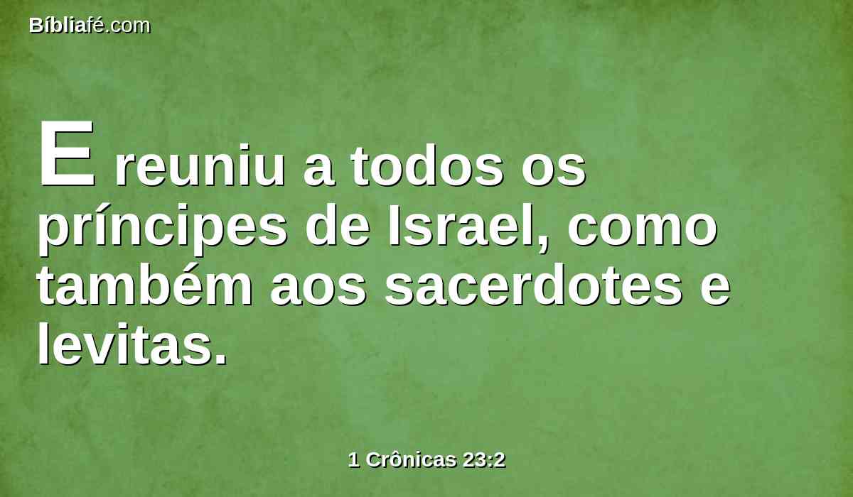 E reuniu a todos os príncipes de Israel, como também aos sacerdotes e levitas.