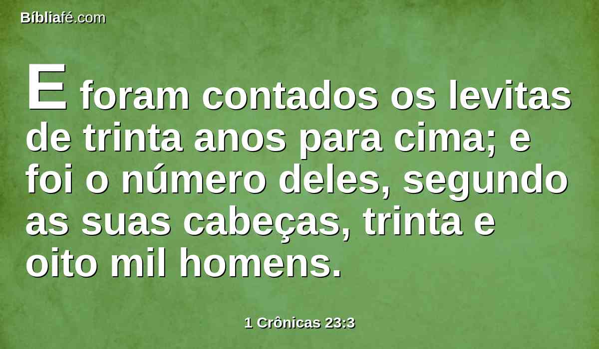 E foram contados os levitas de trinta anos para cima; e foi o número deles, segundo as suas cabeças, trinta e oito mil homens.