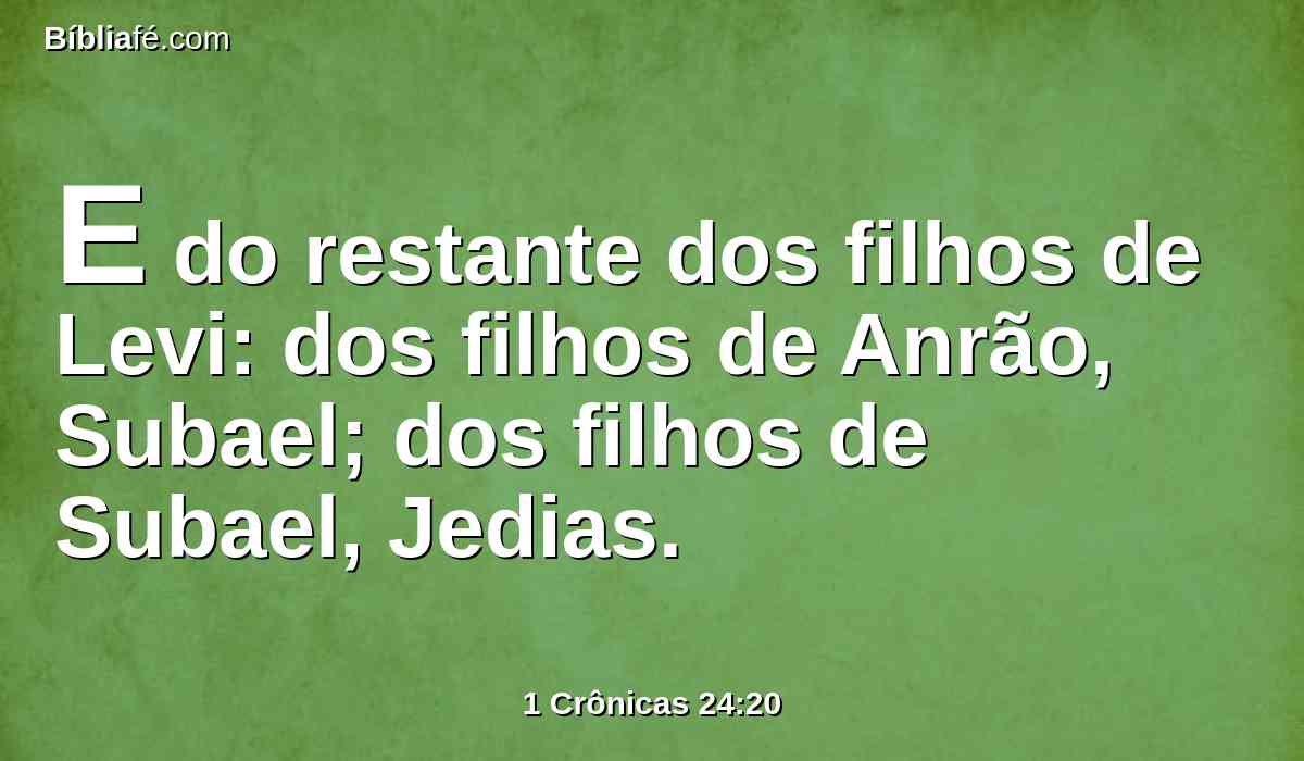 E do restante dos filhos de Levi: dos filhos de Anrão, Subael; dos filhos de Subael, Jedias.