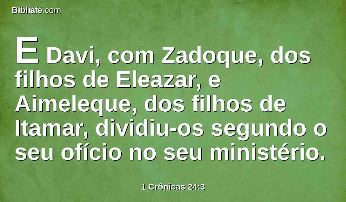 E Davi, com Zadoque, dos filhos de Eleazar, e Aimeleque, dos filhos de Itamar, dividiu-os segundo o seu ofício no seu ministério.
