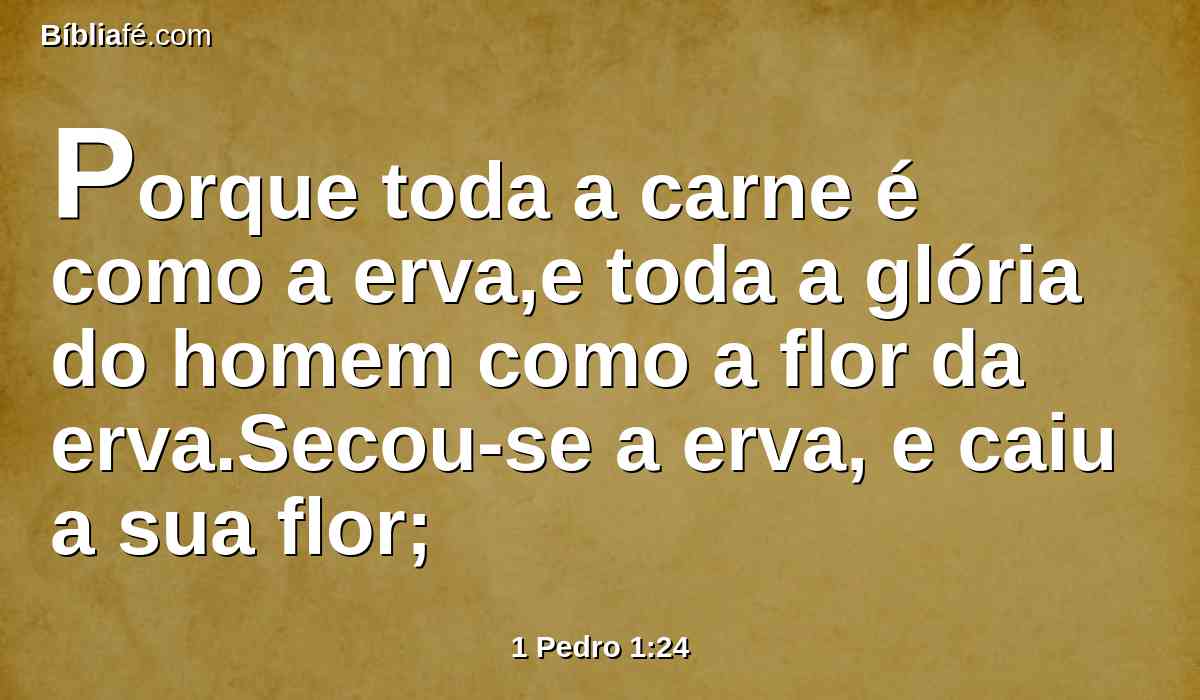Porque toda a carne é como a erva,e toda a glória do homem como a flor da erva.Secou-se a erva, e caiu a sua flor;