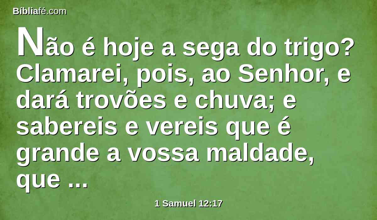 Não é hoje a sega do trigo? Clamarei, pois, ao Senhor, e dará trovões e chuva; e sabereis e vereis que é grande a vossa maldade, que tendes feito perante o Senhor, pedindo para vós um rei.