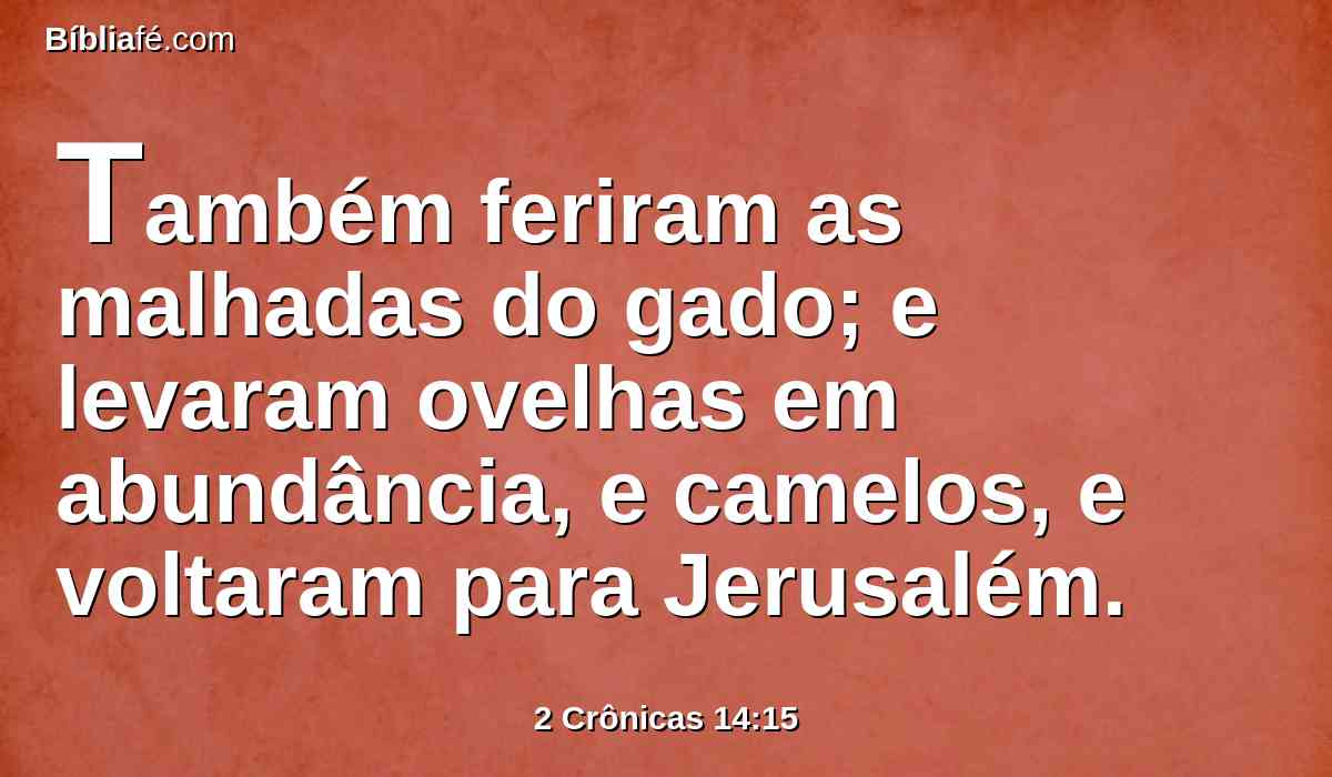 Também feriram as malhadas do gado; e levaram ovelhas em abundância, e camelos, e voltaram para Jerusalém.
