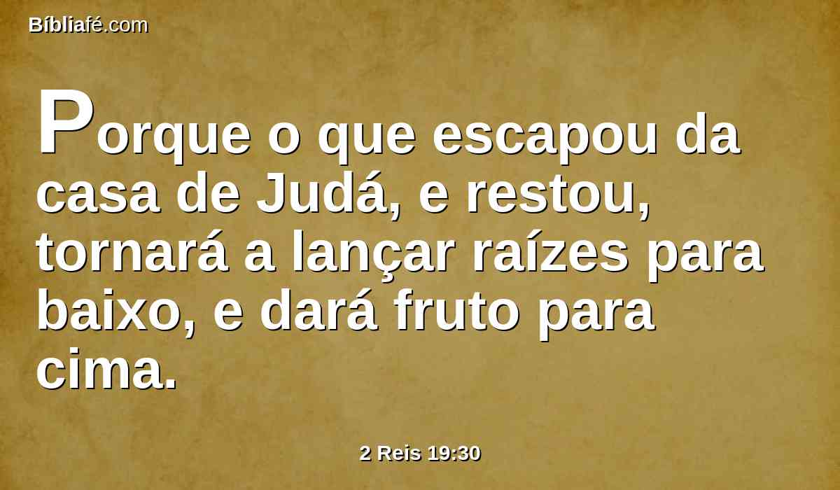 Porque o que escapou da casa de Judá, e restou, tornará a lançar raízes para baixo, e dará fruto para cima.
