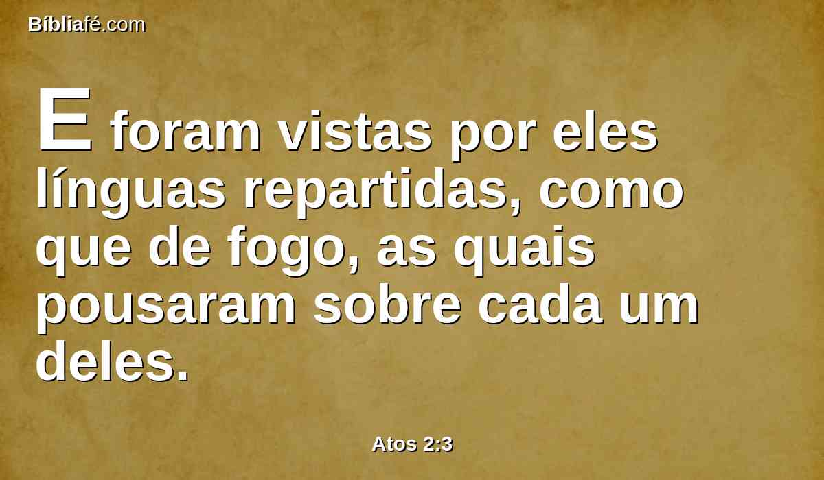 E foram vistas por eles línguas repartidas, como que de fogo, as quais pousaram sobre cada um deles.