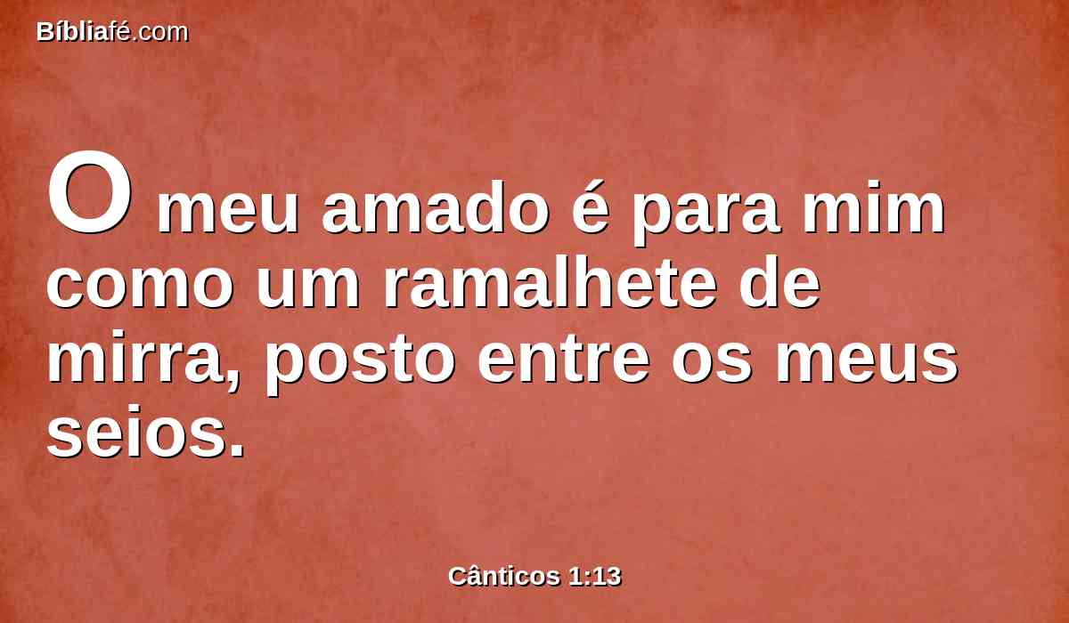 O meu amado é para mim como um ramalhete de mirra, posto entre os meus seios.