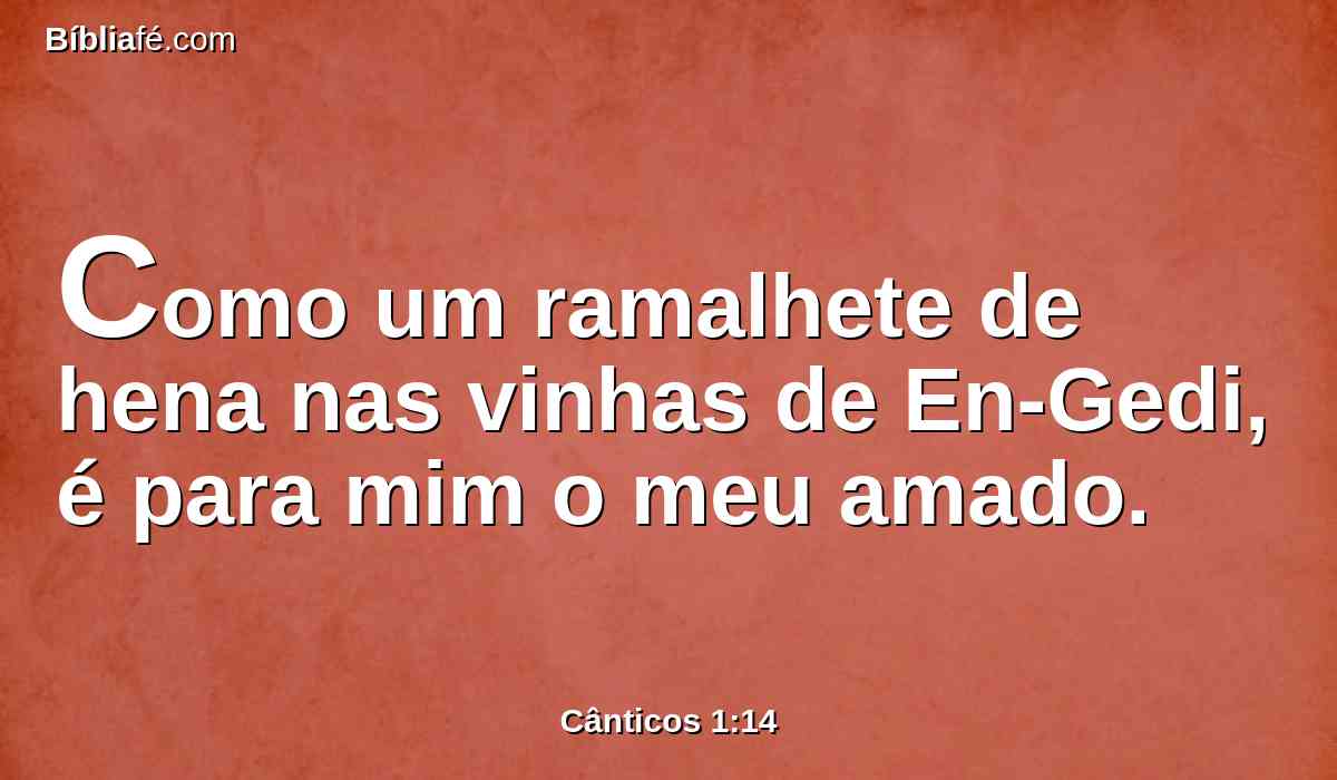Como um ramalhete de hena nas vinhas de En-Gedi, é para mim o meu amado.