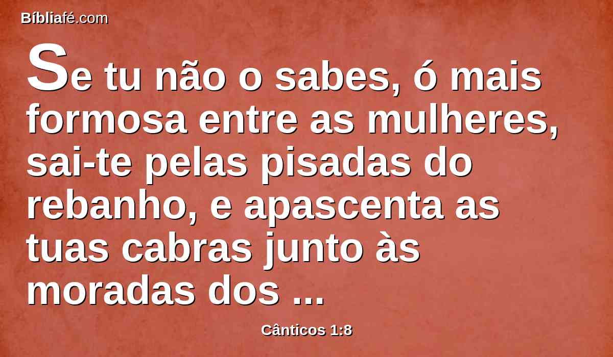 Se tu não o sabes, ó mais formosa entre as mulheres, sai-te pelas pisadas do rebanho, e apascenta as tuas cabras junto às moradas dos pastores.