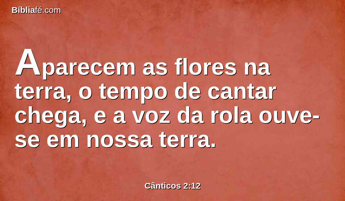 Aparecem as flores na terra, o tempo de cantar chega, e a voz da rola ouve-se em nossa terra.