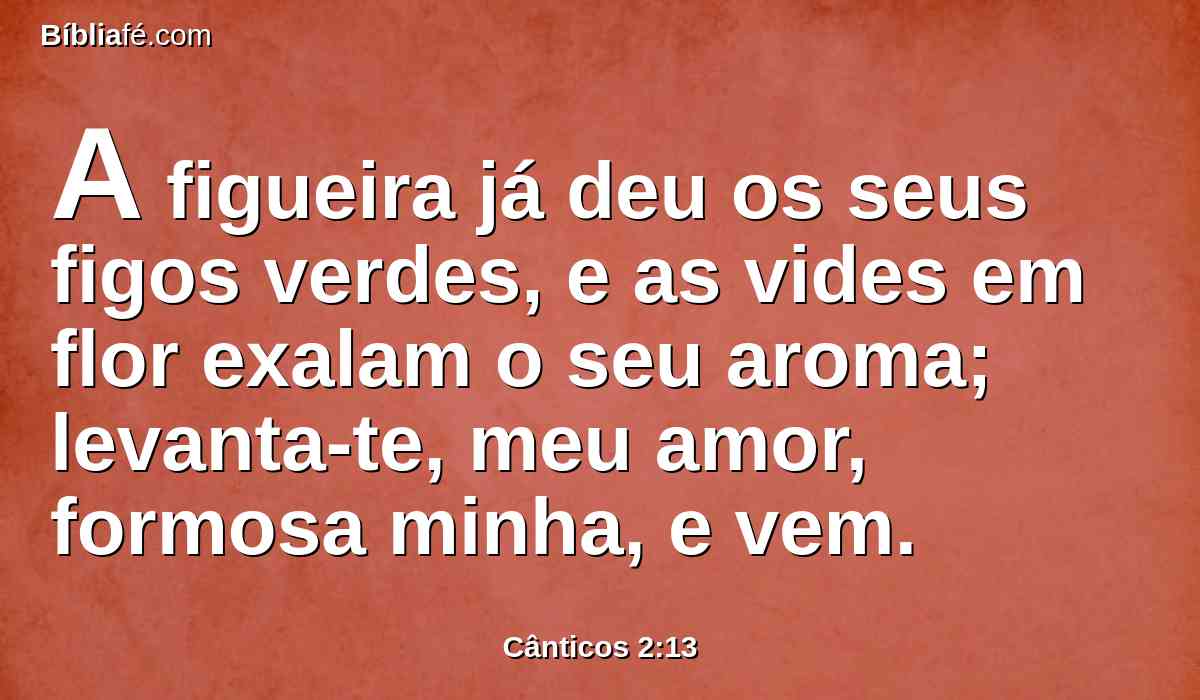 A figueira já deu os seus figos verdes, e as vides em flor exalam o seu aroma; levanta-te, meu amor, formosa minha, e vem.