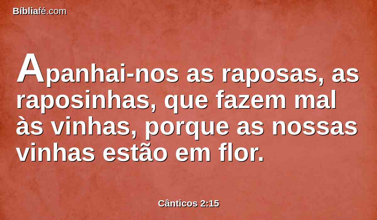 Apanhai-nos as raposas, as raposinhas, que fazem mal às vinhas, porque as nossas vinhas estão em flor.