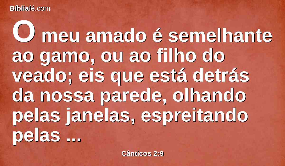 O meu amado é semelhante ao gamo, ou ao filho do veado; eis que está detrás da nossa parede, olhando pelas janelas, espreitando pelas grades.