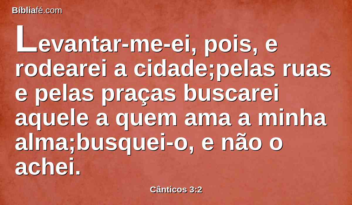 Levantar-me-ei, pois, e rodearei a cidade;pelas ruas e pelas praças buscarei aquele a quem ama a minha alma;busquei-o, e não o achei.