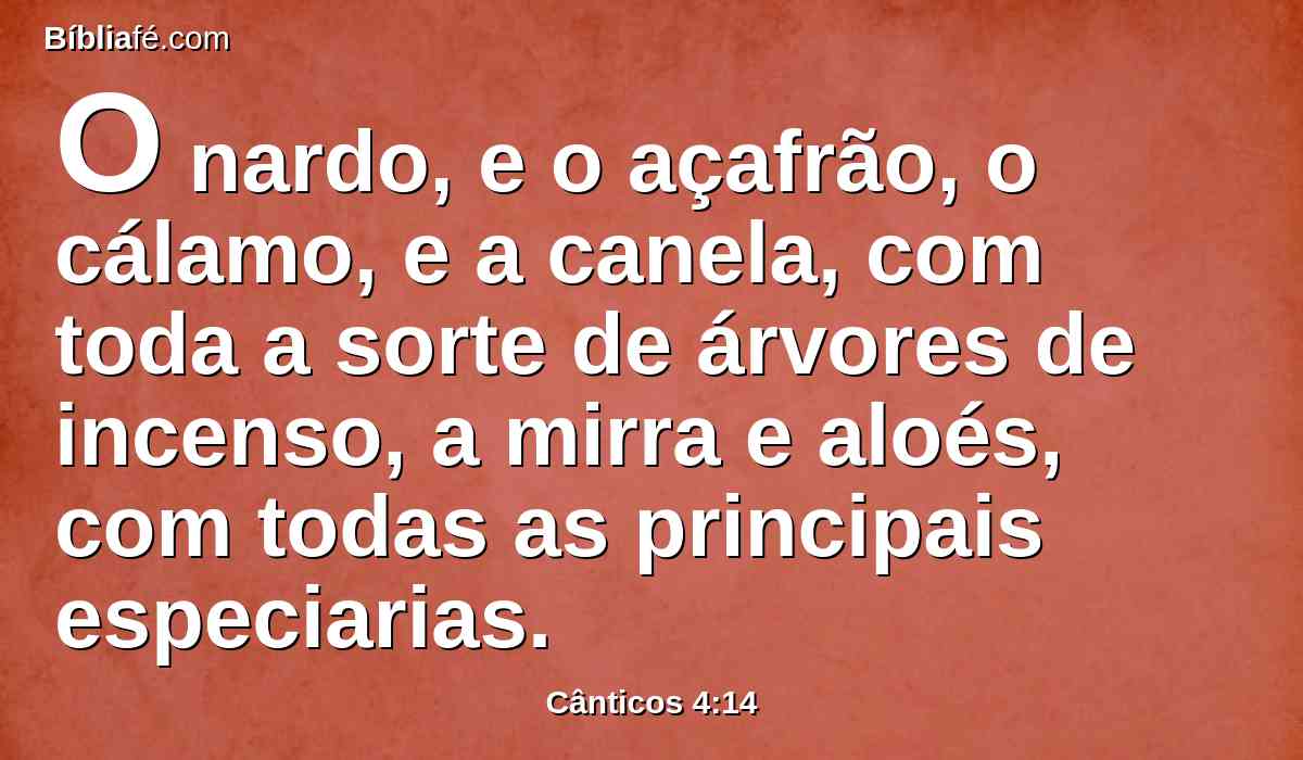 O nardo, e o açafrão, o cálamo, e a canela, com toda a sorte de árvores de incenso, a mirra e aloés, com todas as principais especiarias.