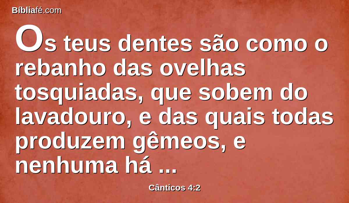 Os teus dentes são como o rebanho das ovelhas tosquiadas, que sobem do lavadouro, e das quais todas produzem gêmeos, e nenhuma há estéril entre elas.