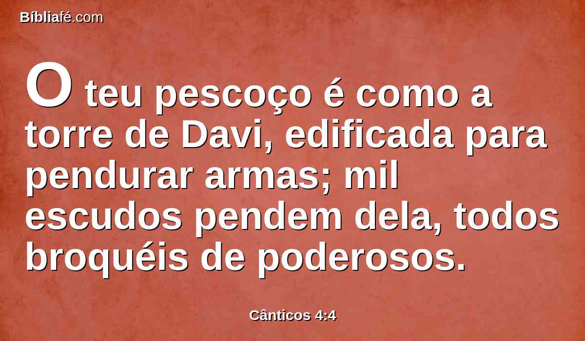 O teu pescoço é como a torre de Davi, edificada para pendurar armas; mil escudos pendem dela, todos broquéis de poderosos.