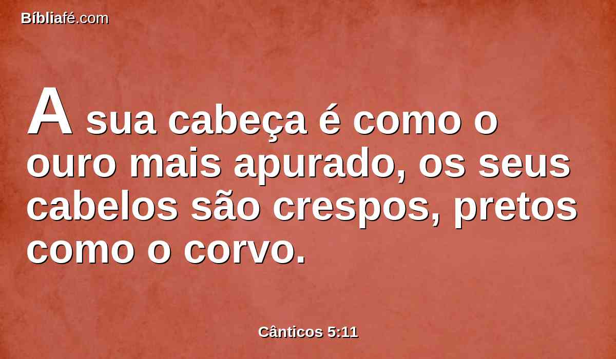 A sua cabeça é como o ouro mais apurado, os seus cabelos são crespos, pretos como o corvo.