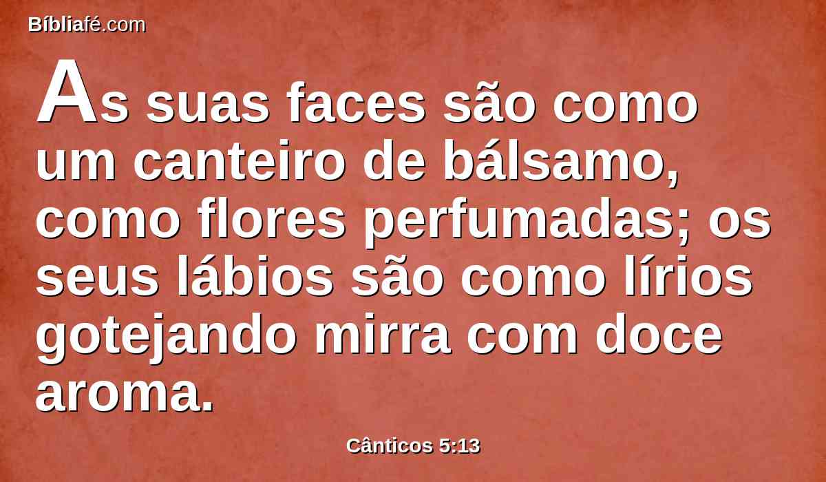 As suas faces são como um canteiro de bálsamo, como flores perfumadas; os seus lábios são como lírios gotejando mirra com doce aroma.