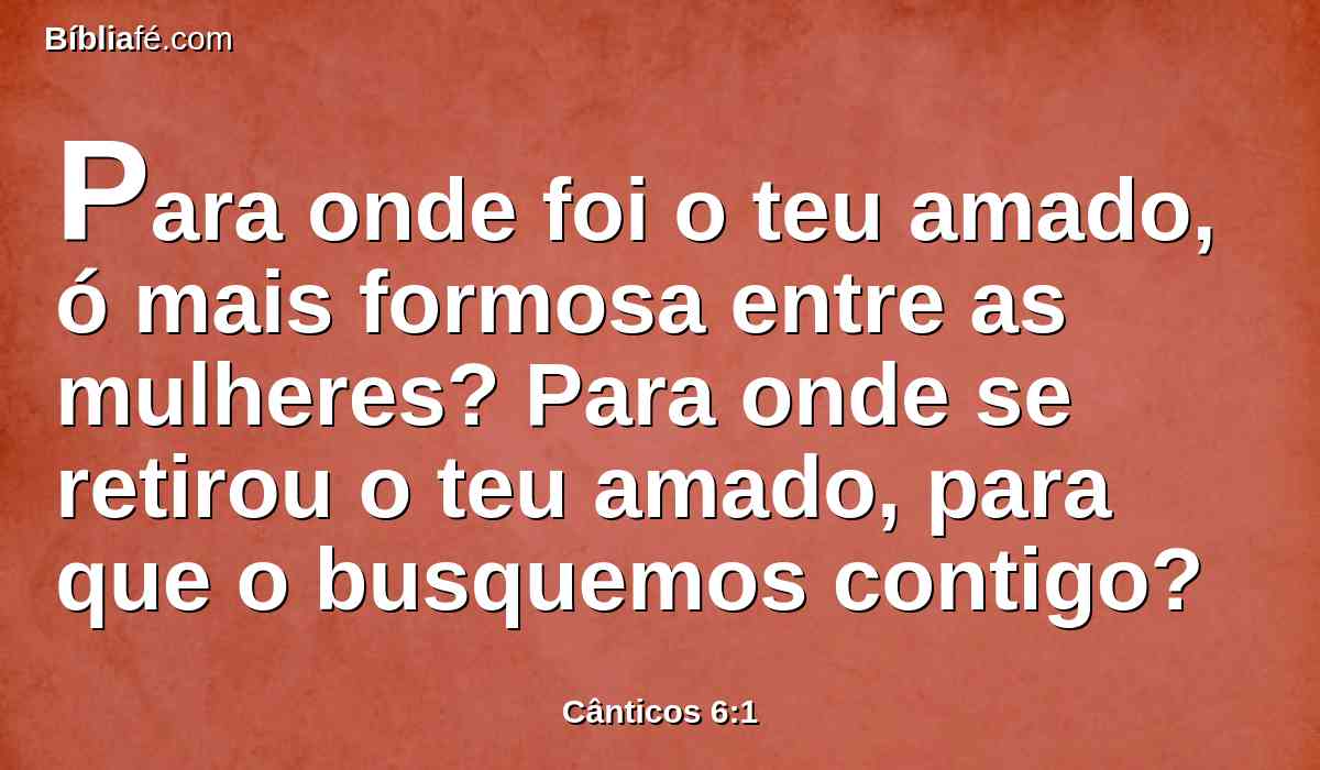 Para onde foi o teu amado, ó mais formosa entre as mulheres? Para onde se retirou o teu amado, para que o busquemos contigo?