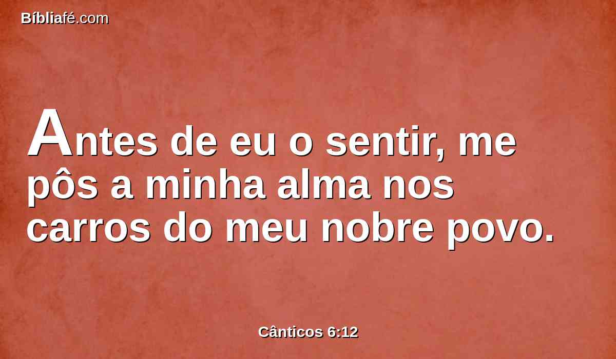 Antes de eu o sentir, me pôs a minha alma nos carros do meu nobre povo.