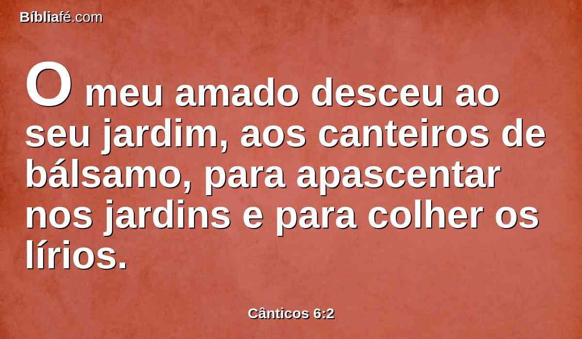 O meu amado desceu ao seu jardim, aos canteiros de bálsamo, para apascentar nos jardins e para colher os lírios.