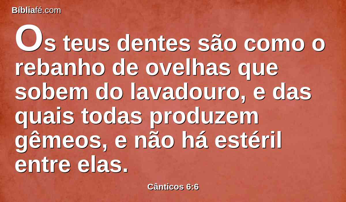 Os teus dentes são como o rebanho de ovelhas que sobem do lavadouro, e das quais todas produzem gêmeos, e não há estéril entre elas.