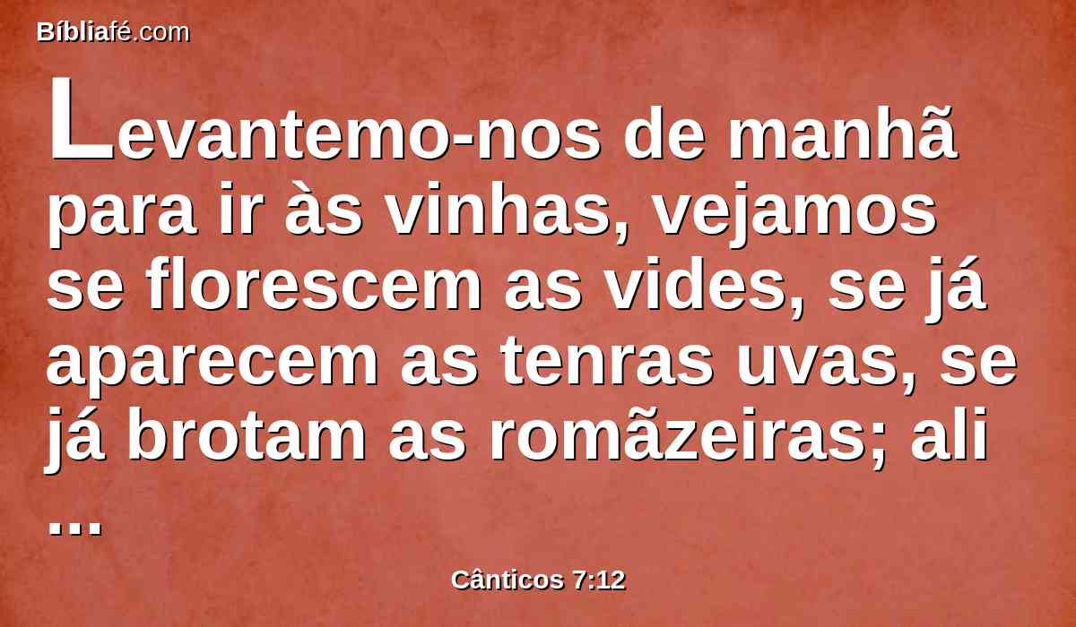 Levantemo-nos de manhã para ir às vinhas, vejamos se florescem as vides, se já aparecem as tenras uvas, se já brotam as romãzeiras; ali te darei os meus amores.