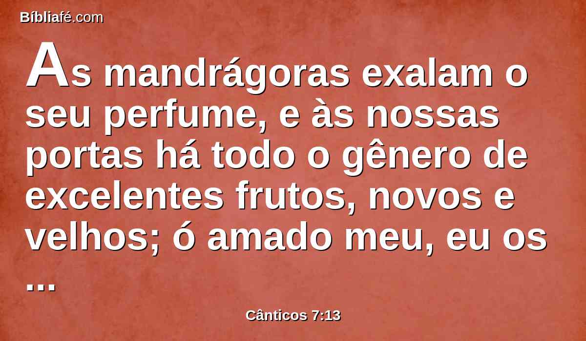 As mandrágoras exalam o seu perfume, e às nossas portas há todo o gênero de excelentes frutos, novos e velhos; ó amado meu, eu os guardei para ti.