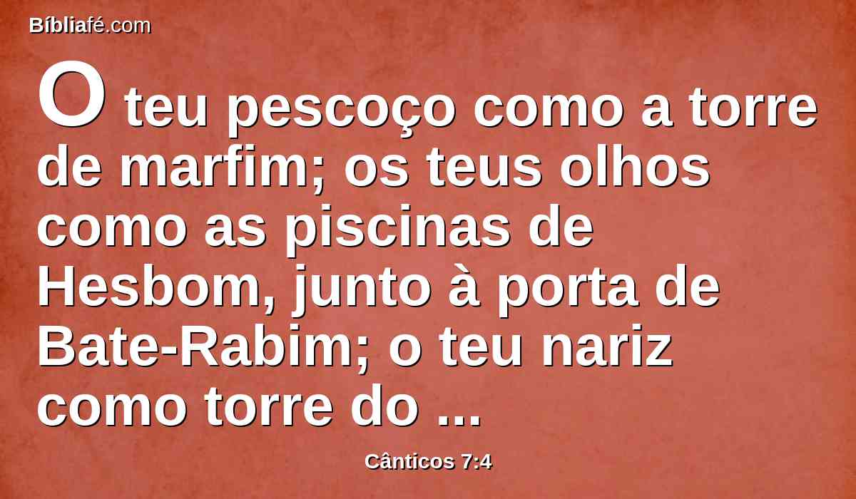 O teu pescoço como a torre de marfim; os teus olhos como as piscinas de Hesbom, junto à porta de Bate-Rabim; o teu nariz como torre do Líbano, que olha para Damasco.