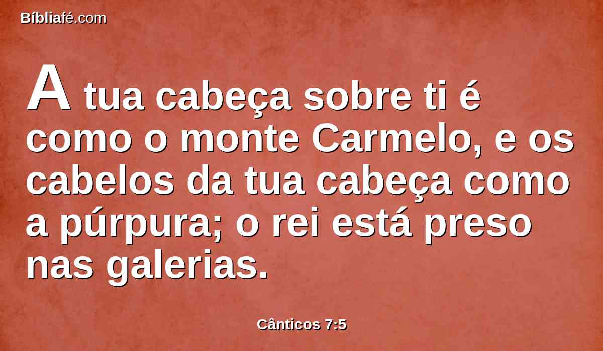 A tua cabeça sobre ti é como o monte Carmelo, e os cabelos da tua cabeça como a púrpura; o rei está preso nas galerias.