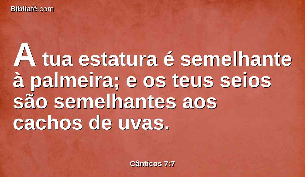 A tua estatura é semelhante à palmeira; e os teus seios são semelhantes aos cachos de uvas.