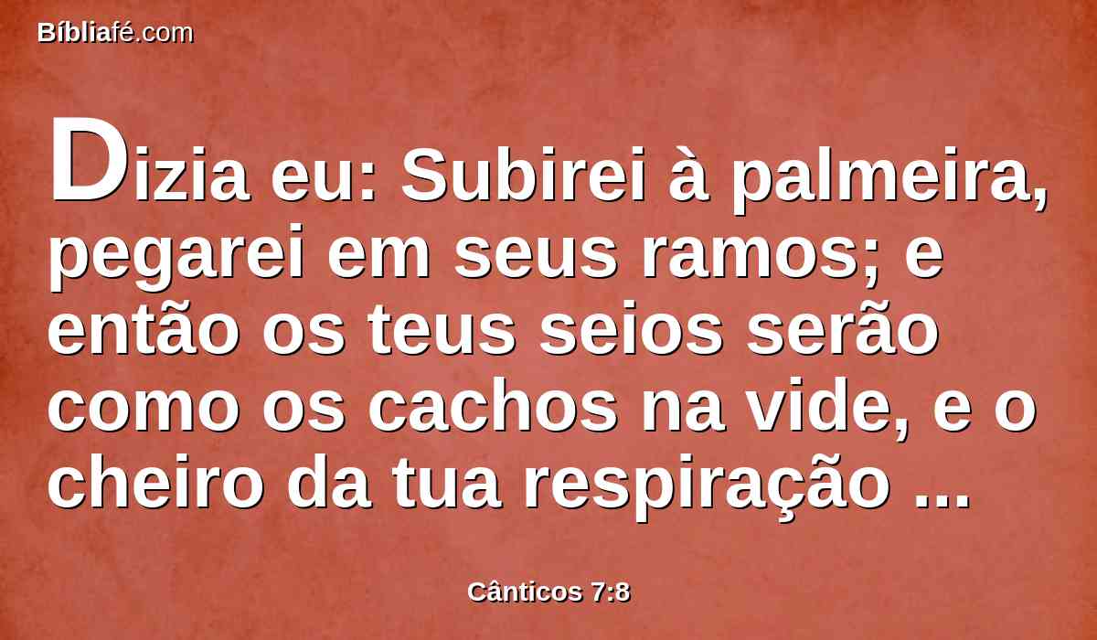 Dizia eu: Subirei à palmeira, pegarei em seus ramos; e então os teus seios serão como os cachos na vide, e o cheiro da tua respiração como o das maçãs.