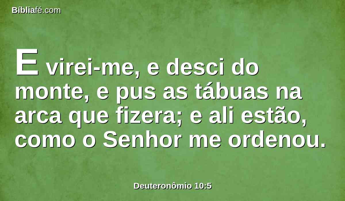 E virei-me, e desci do monte, e pus as tábuas na arca que fizera; e ali estão, como o Senhor me ordenou.