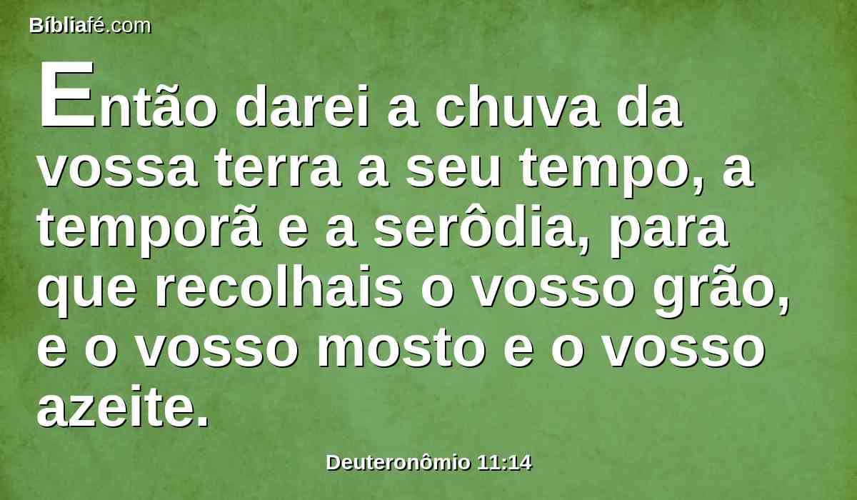 Então darei a chuva da vossa terra a seu tempo, a temporã e a serôdia, para que recolhais o vosso grão, e o vosso mosto e o vosso azeite.