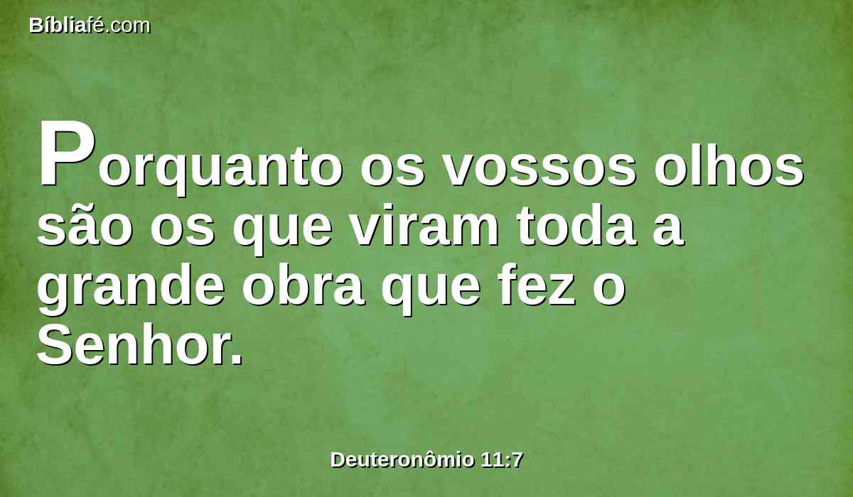 Porquanto os vossos olhos são os que viram toda a grande obra que fez o Senhor.