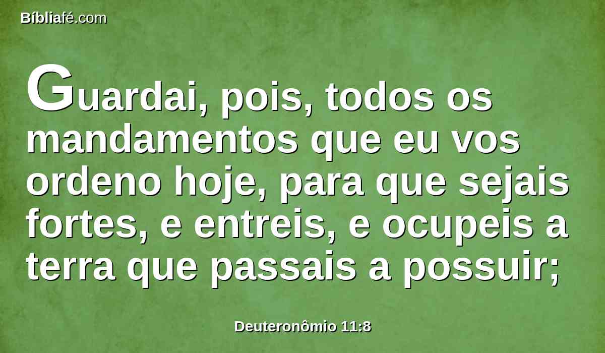 Guardai, pois, todos os mandamentos que eu vos ordeno hoje, para que sejais fortes, e entreis, e ocupeis a terra que passais a possuir;