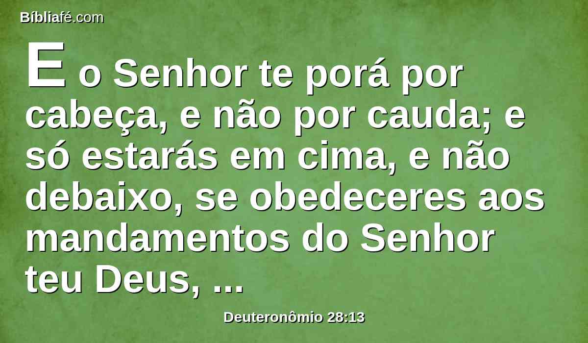E o Senhor te porá por cabeça, e não por cauda; e só estarás em cima, e não debaixo, se obedeceres aos mandamentos do Senhor teu Deus, que hoje te ordeno, para os guardar e cumprir.