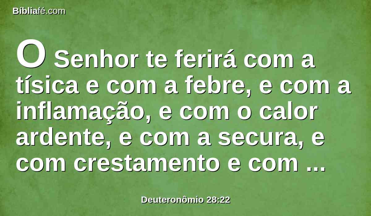 O Senhor te ferirá com a tísica e com a febre, e com a inflamação, e com o calor ardente, e com a secura, e com crestamento e com ferrugem; e te perseguirão até que pereças.