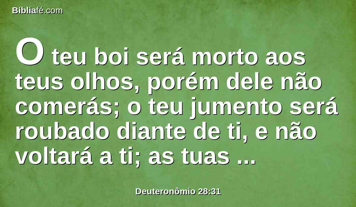 O teu boi será morto aos teus olhos, porém dele não comerás; o teu jumento será roubado diante de ti, e não voltará a ti; as tuas ovelhas serão dadas aos teus inimigos, e não haverá quem te salve.