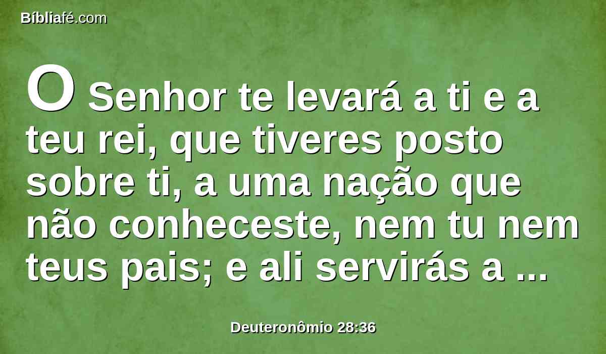 O Senhor te levará a ti e a teu rei, que tiveres posto sobre ti, a uma nação que não conheceste, nem tu nem teus pais; e ali servirás a outros deuses, ao pau e à pedra.