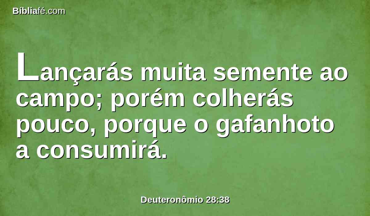 Lançarás muita semente ao campo; porém colherás pouco, porque o gafanhoto a consumirá.