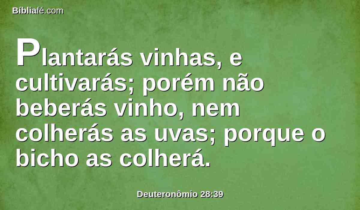 Plantarás vinhas, e cultivarás; porém não beberás vinho, nem colherás as uvas; porque o bicho as colherá.
