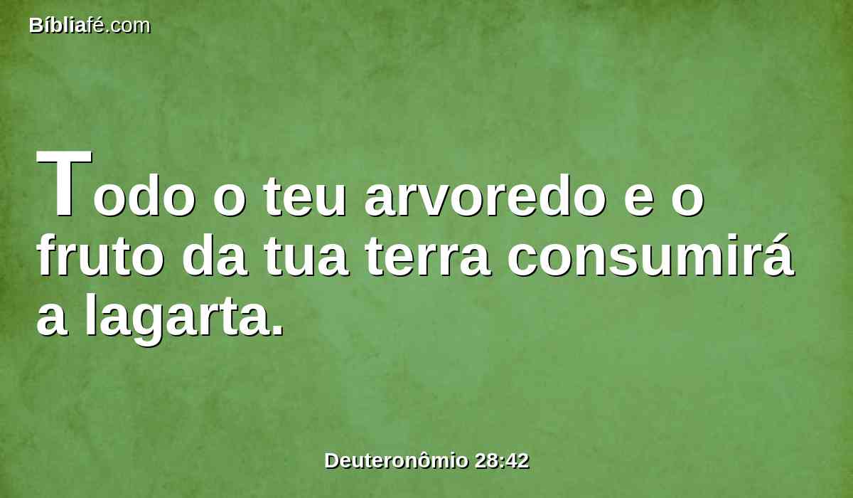 Todo o teu arvoredo e o fruto da tua terra consumirá a lagarta.
