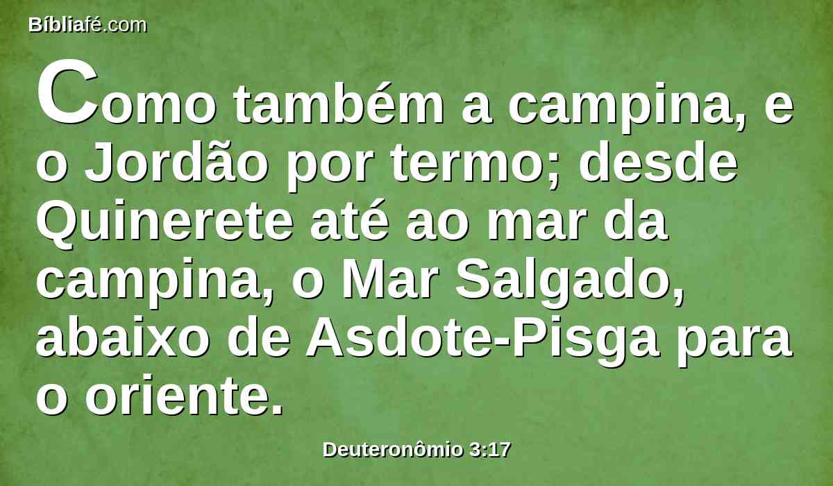 Como também a campina, e o Jordão por termo; desde Quinerete até ao mar da campina, o Mar Salgado, abaixo de Asdote-Pisga para o oriente.
