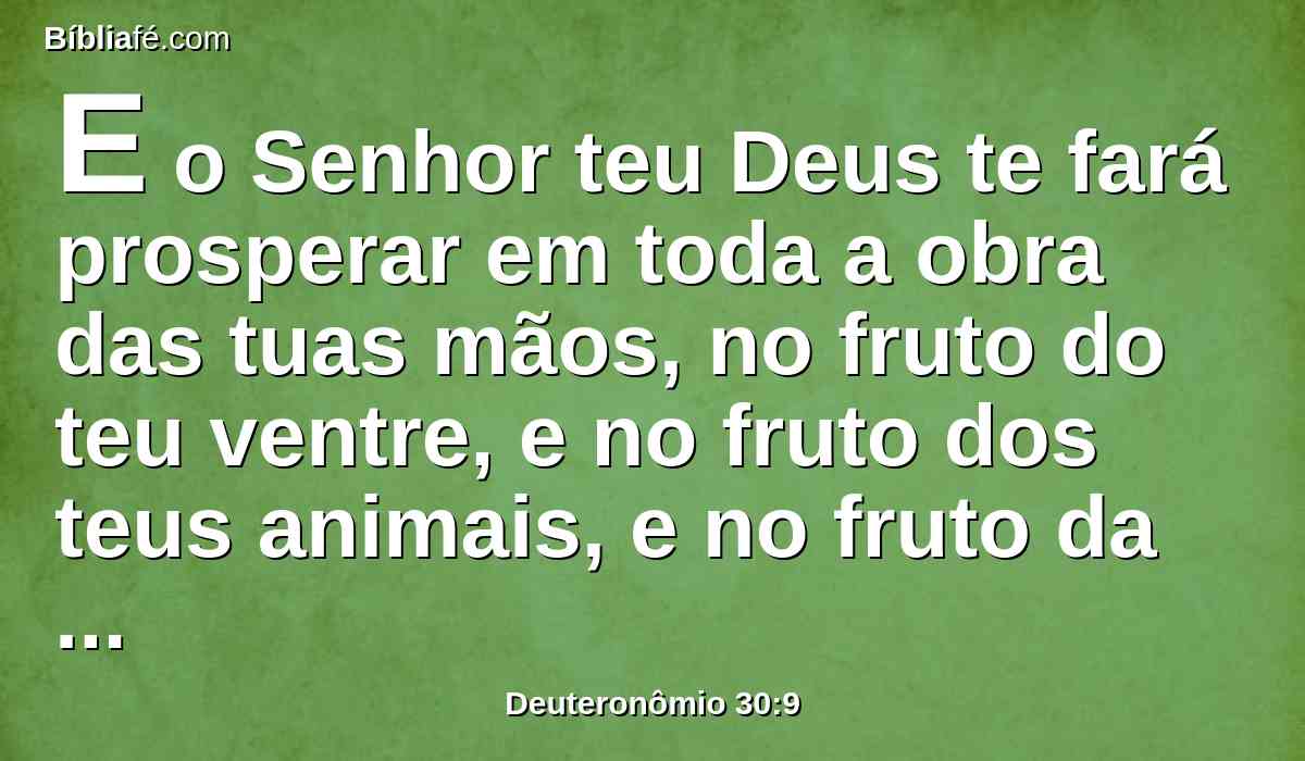 E o Senhor teu Deus te fará prosperar em toda a obra das tuas mãos, no fruto do teu ventre, e no fruto dos teus animais, e no fruto da tua terra para o teu bem; porquanto o Senhor tornará a alegrar-se em ti para te fazer bem, como se alegrou em teus pais,